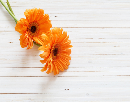 gerbera flowers on the wooden tableの写真素材