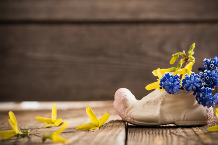 spring flowers on wooden backgroundの写真素材