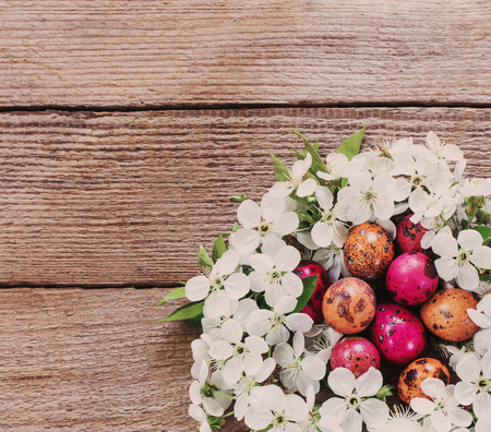 Easter egg in nest from white flowersの写真素材