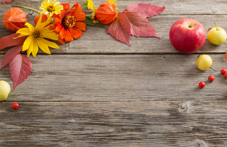 autumn backgroundの写真素材
