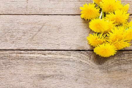 Dandelion flowers on the wooden backgroundの写真素材