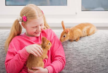 smiling girl with two rabbits indoorの写真素材
