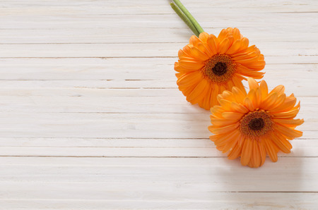 gerbera flowers on the wooden tableの写真素材