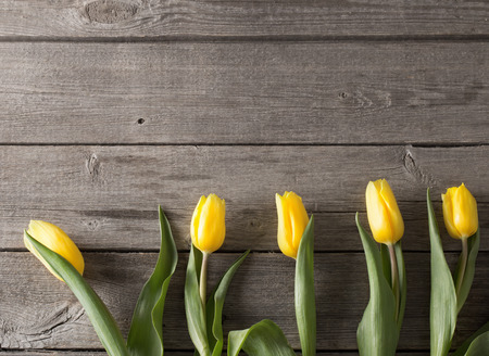 yellow tulips over wooden table backgroundの写真素材