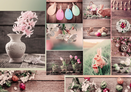Easter collage with flowers, rabbits and eggsの写真素材