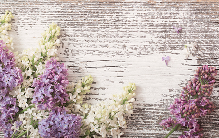 The beautiful lilac on a wooden backgroundの写真素材