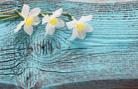 spring flowers on wooden backgroundの写真素材