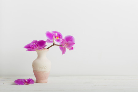 orchid flowers in vase on a wooden tableの写真素材