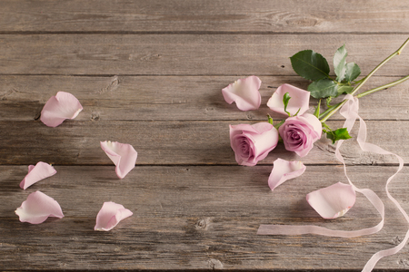 rose on wooden backgroundの写真素材