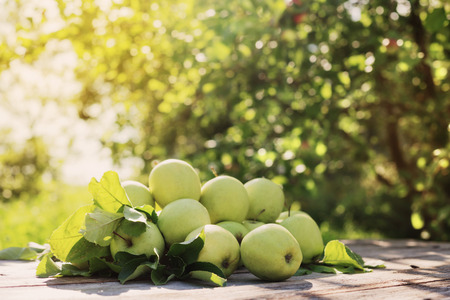 green apples on wooden background outdoorの写真素材