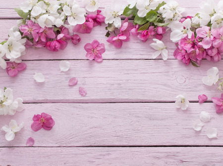 apple flowers on wooden backgroundの写真素材