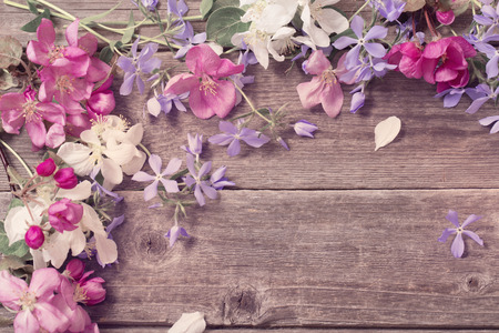 apple flowers on wooden backgroundの写真素材