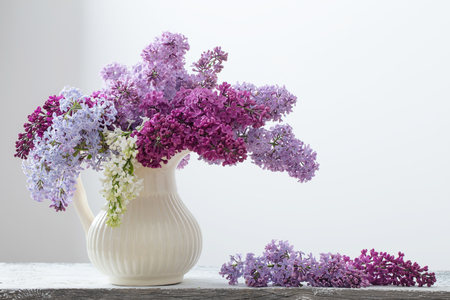 The beautiful lilac on white backgroundの写真素材