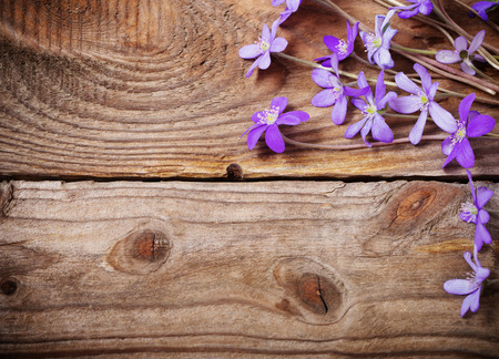 blue flowers on wooden backgroundの写真素材