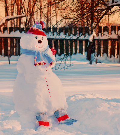 snowmen in gardenの写真素材