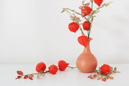 still life with red physalisの写真素材