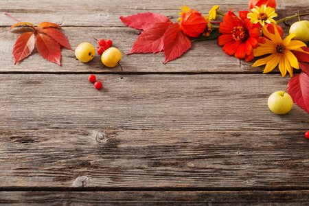 autumn backgroundの写真素材