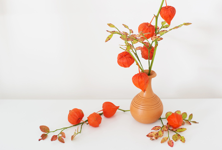 still life with red physalisの写真素材