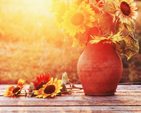 sunflowers in jug at sunsetの写真素材