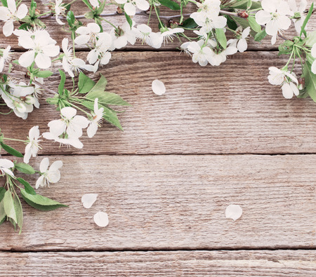 flowers on wooden backgroundの写真素材