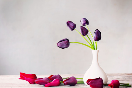 flowers on white backgroundの写真素材