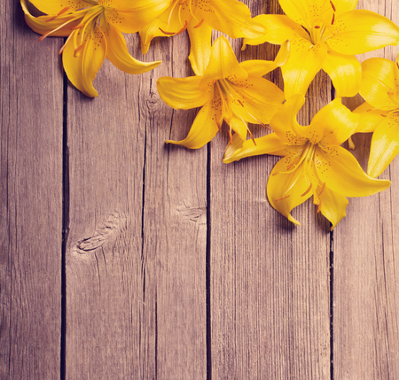 orange lily on wooden backgroundの写真素材