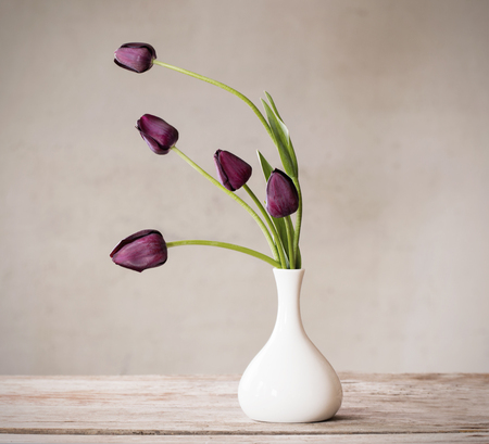 flowers on white backgroundの写真素材