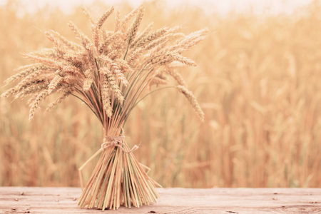 sheaf on wooden table on background field