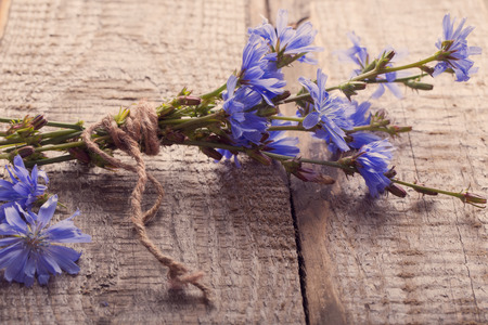blue chicory flowers on wooden backgroundの写真素材