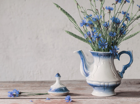 still life with cornflowerの写真素材