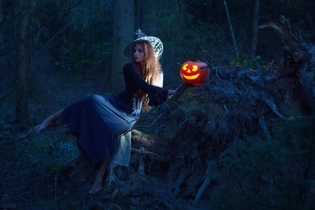 Beautiful witch with a pumpkin in the magic forestの写真素材