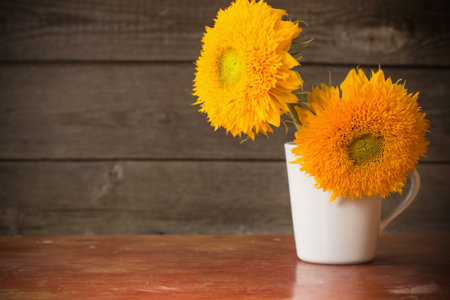 sunflowers on wooden backgroundの写真素材