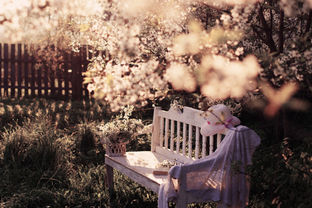 garden benchの写真素材