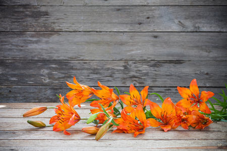 lily on wooden backgroundの写真素材