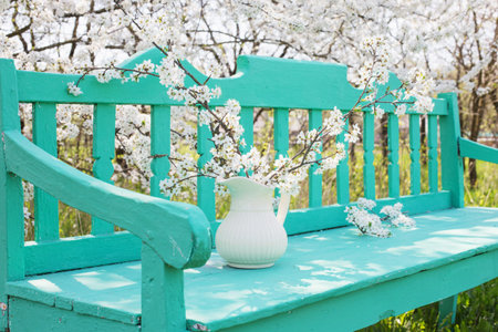 cherry flowers on spring garden