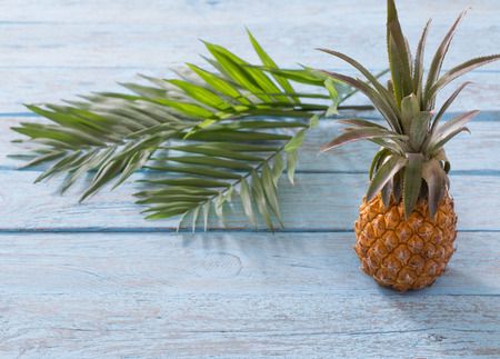 summer backgroundの写真素材