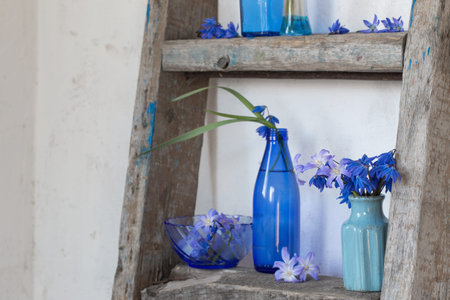 blue snowdrop on old backgroundの写真素材