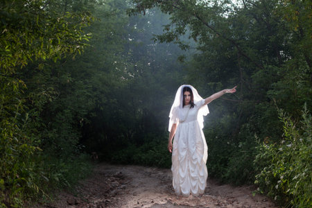 bride's ghost in the night forest