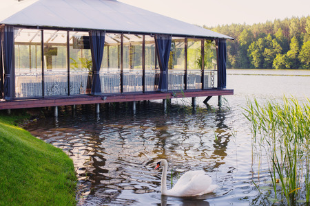 Swans on the lake against the backdrop of the terraceの写真素材