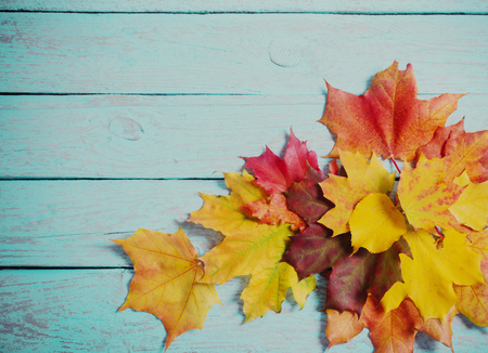 autumn leaves on blue wooden backgroundの写真素材