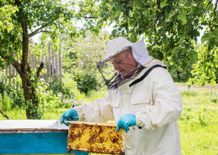 beekeeper with bees outdoorの写真素材
