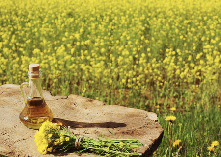 rapeseed oil (canola) in rape fieldの写真素材