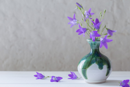 bluebell in vase on white backgroundの写真素材