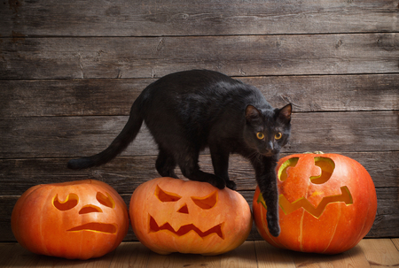 black cat with orange halloween pumpkin on wooden backgroundの写真素材