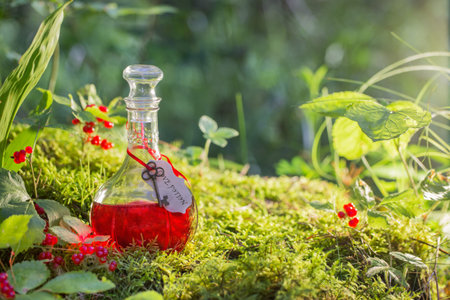 Magic potion in bottle in forest