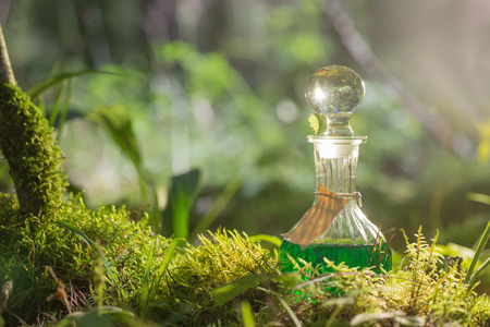 Magic potion in bottle in forestの写真素材