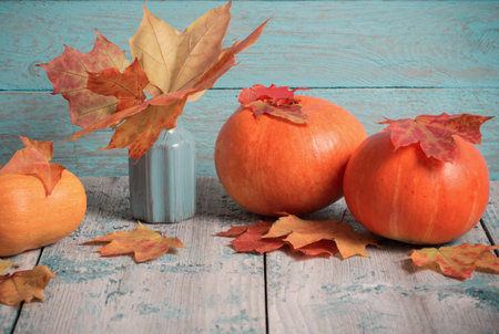 maple leaves  in vase and pumpkin on blue wooden backgroundの写真素材