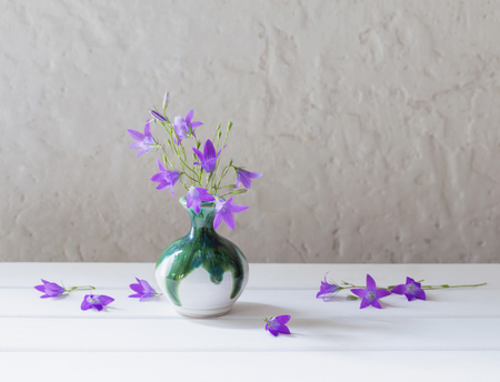 bluebell in wase on white backgroundの写真素材