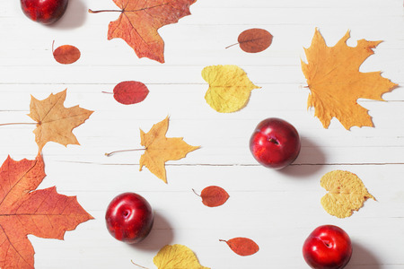 fruits and autumn leaves on white wooden backgroundの写真素材