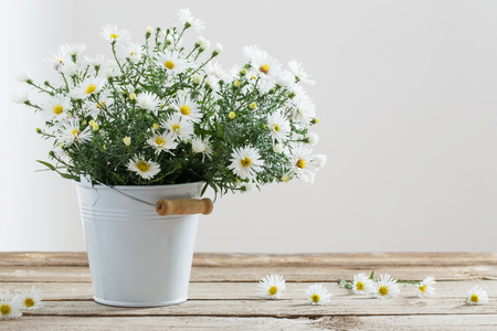 white flowers on bucket on wooden tableの写真素材